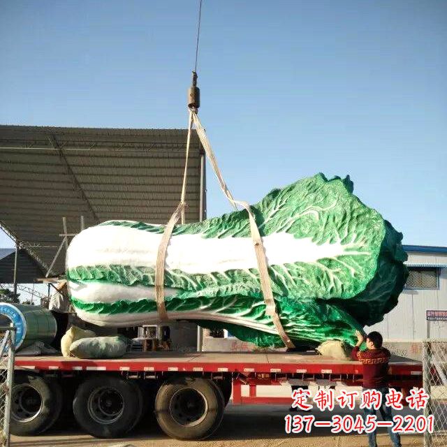 威海白菜之美——给你一份独特的食材