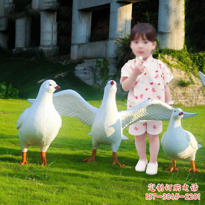 威海和平鸽唤醒内心的宁静