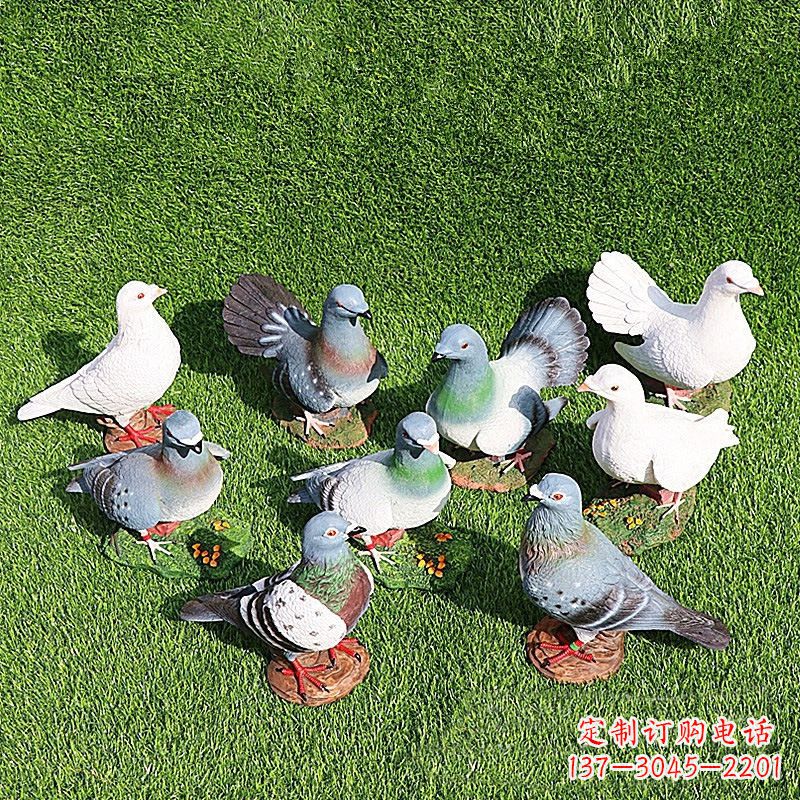 威海和平鸽毕加索激发的美好灵感