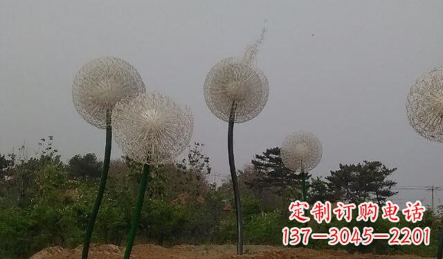 威海蒲公英的绚丽多彩
