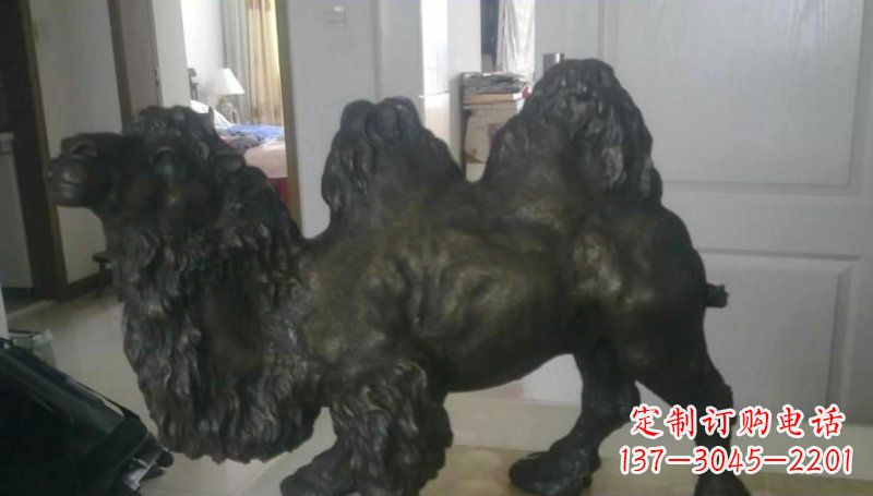 威海室外骆驼铜雕塑,为公园景观增添美感