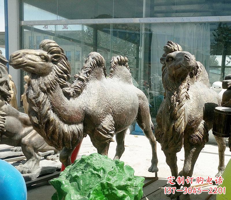 威海公园骆驼动物铜雕 (2)