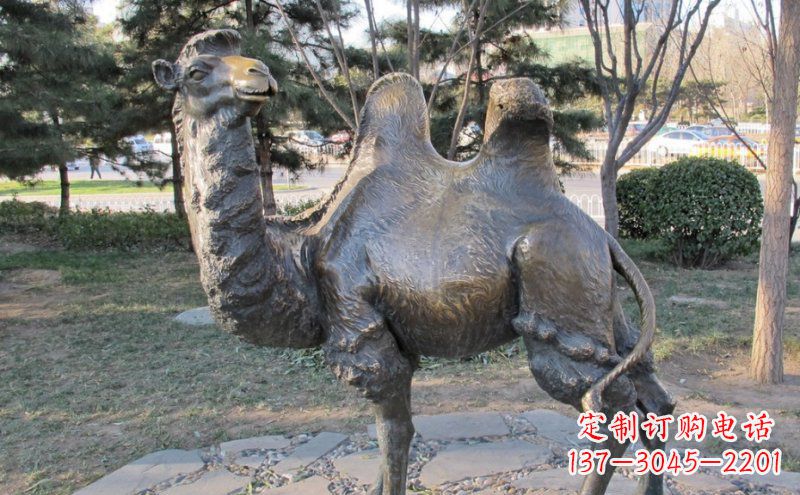 威海公园骆驼动物铜雕 (4)