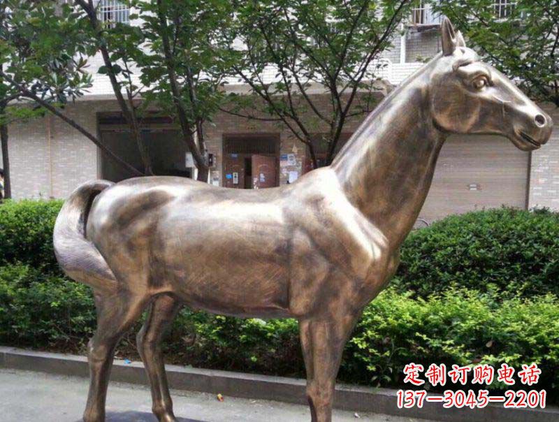 威海公园马动物铜雕 (3)