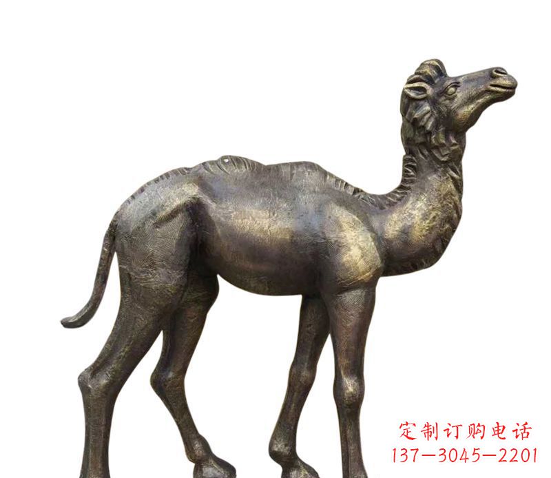威海奇美洁净的骆驼铜雕