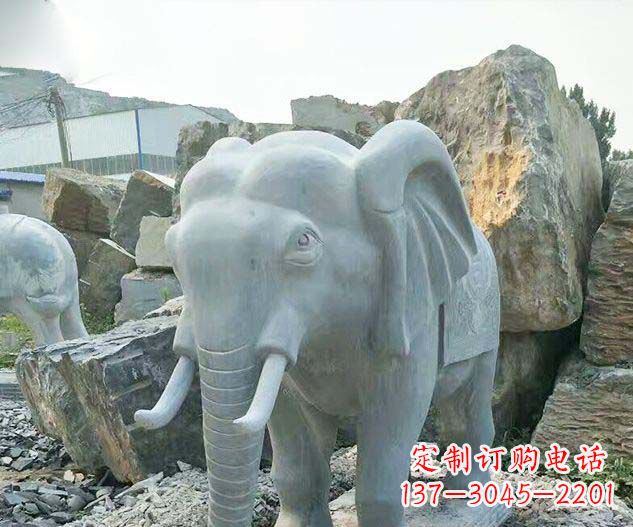 威海广场景观大理石大象石雕 (2)