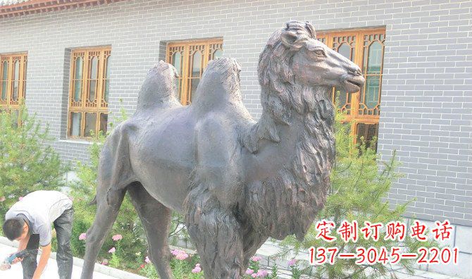 威海精美的骆驼铜雕,提升您的公园气质