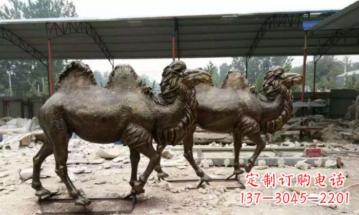 威海典雅优美的骆驼铜雕