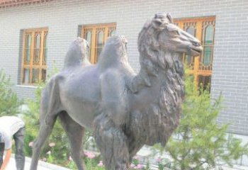 威海精美的骆驼铜雕，提升您的公园气质