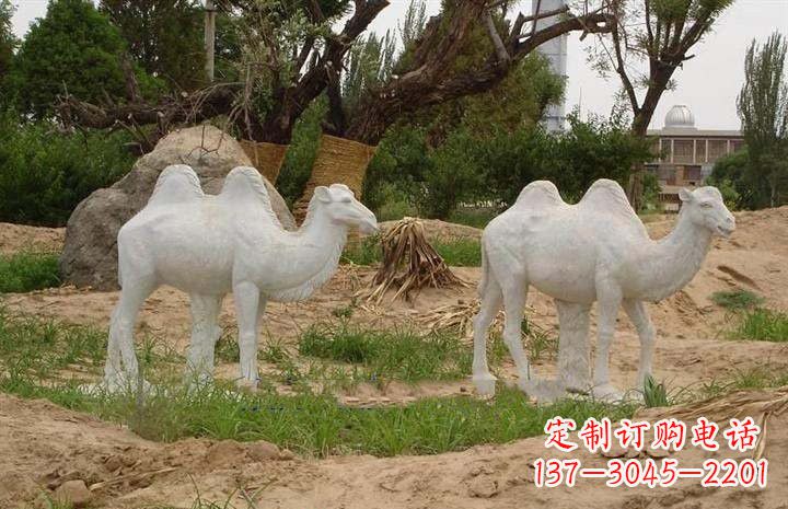 威海石雕骆驼公园动物雕塑