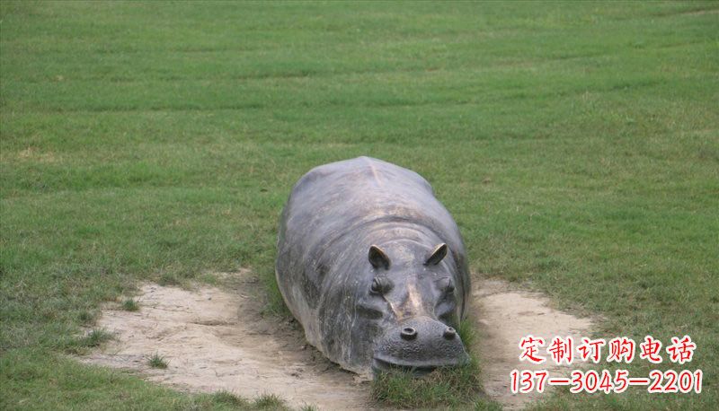 威海铜雕趴着的河马