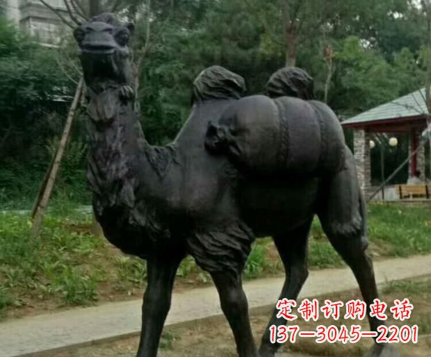 威海驮行李的骆驼铜雕