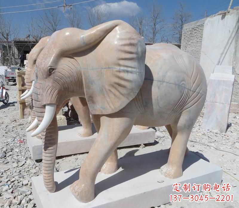 威海晚霞红卷鼻大象