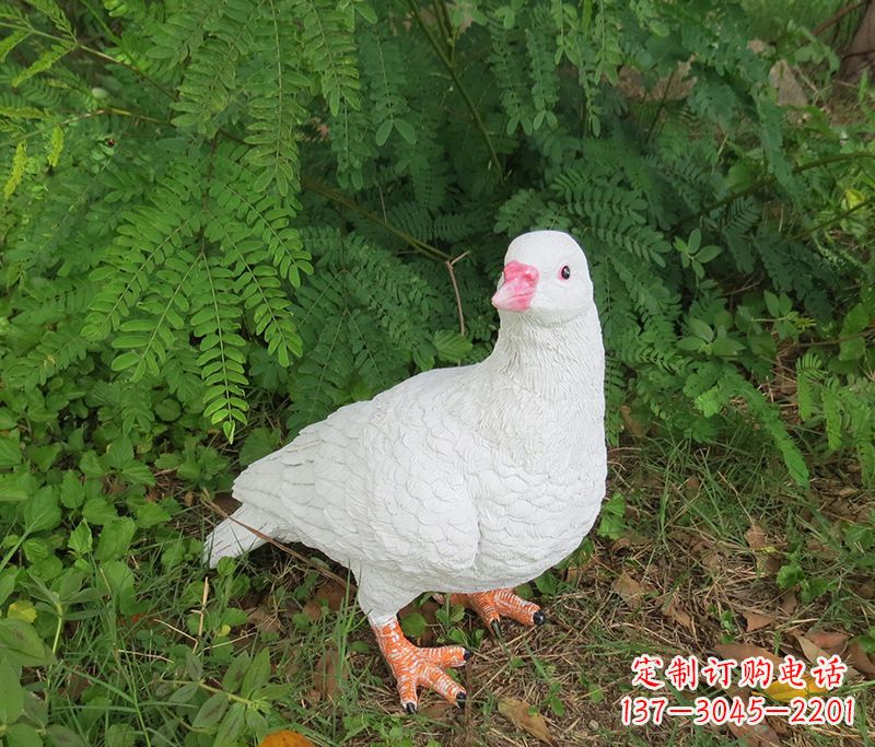 威海潍坊青年路和平鸽灰姑娘雕塑