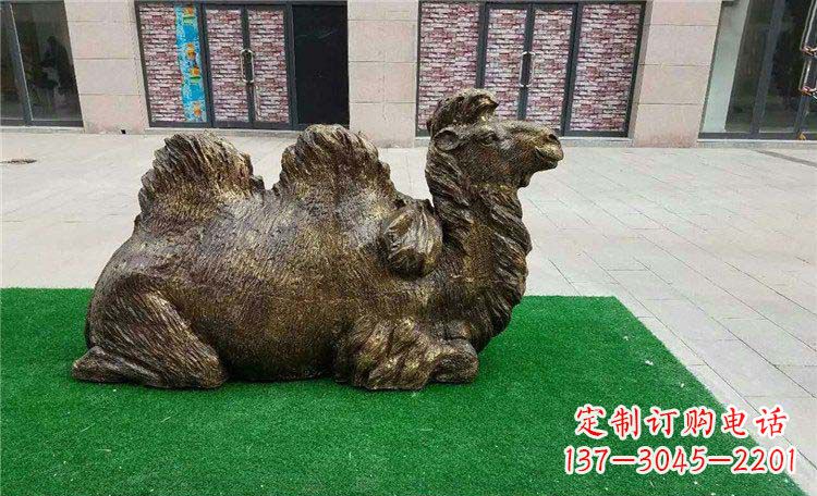 威海卧着的骆驼动物铜雕