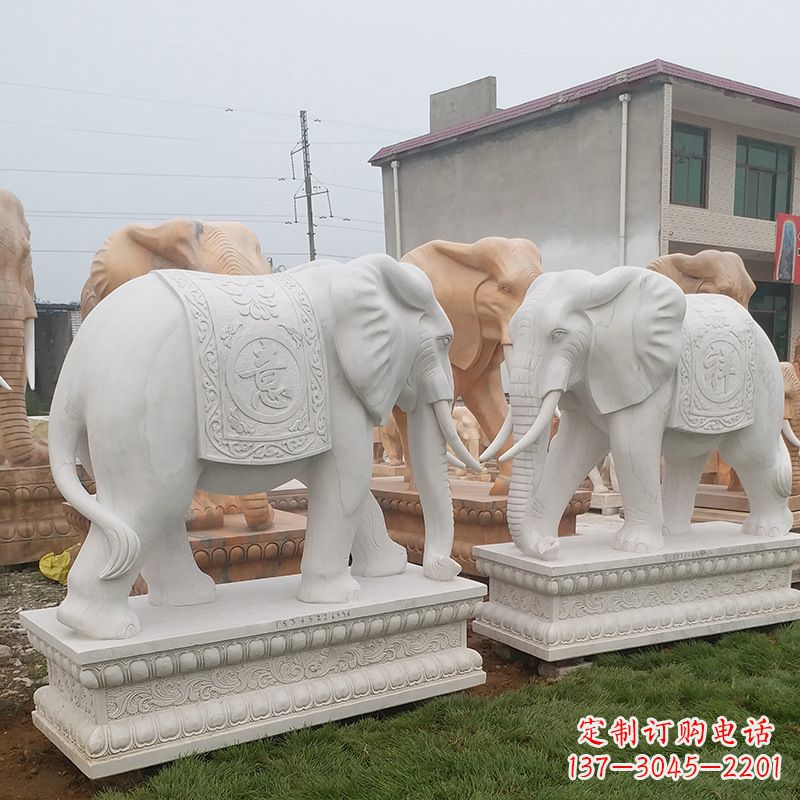 威海学校石雕大象
