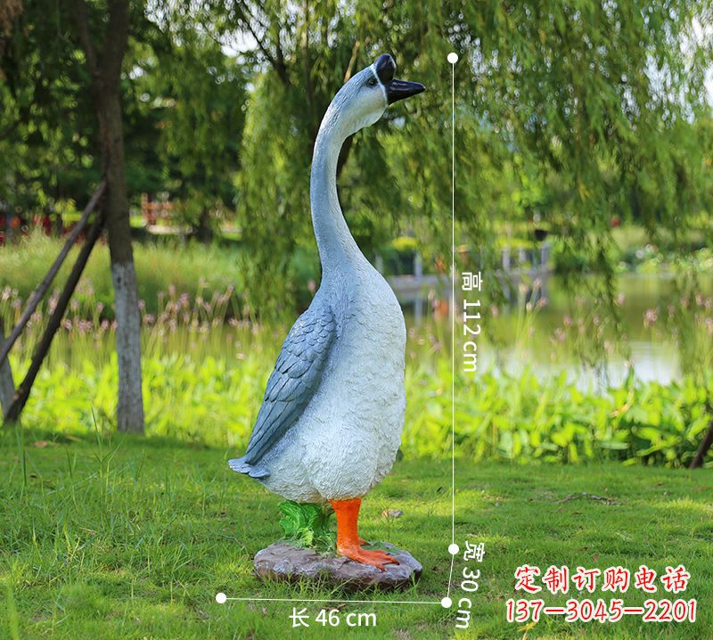 威海站立立脖灰色天鹅
